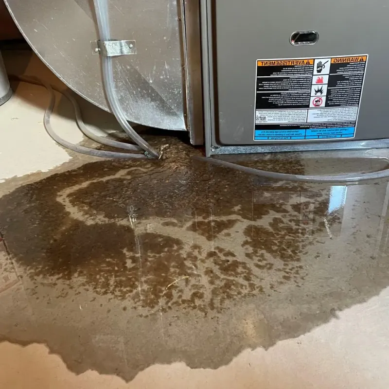 Pipe Burst and Leak Restoration in Ludlow, KY