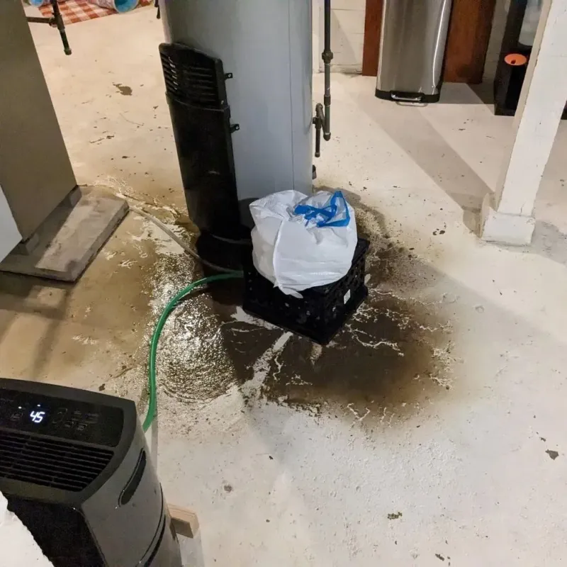 Sewage Backup Cleanup Service in Ludlow, KY
